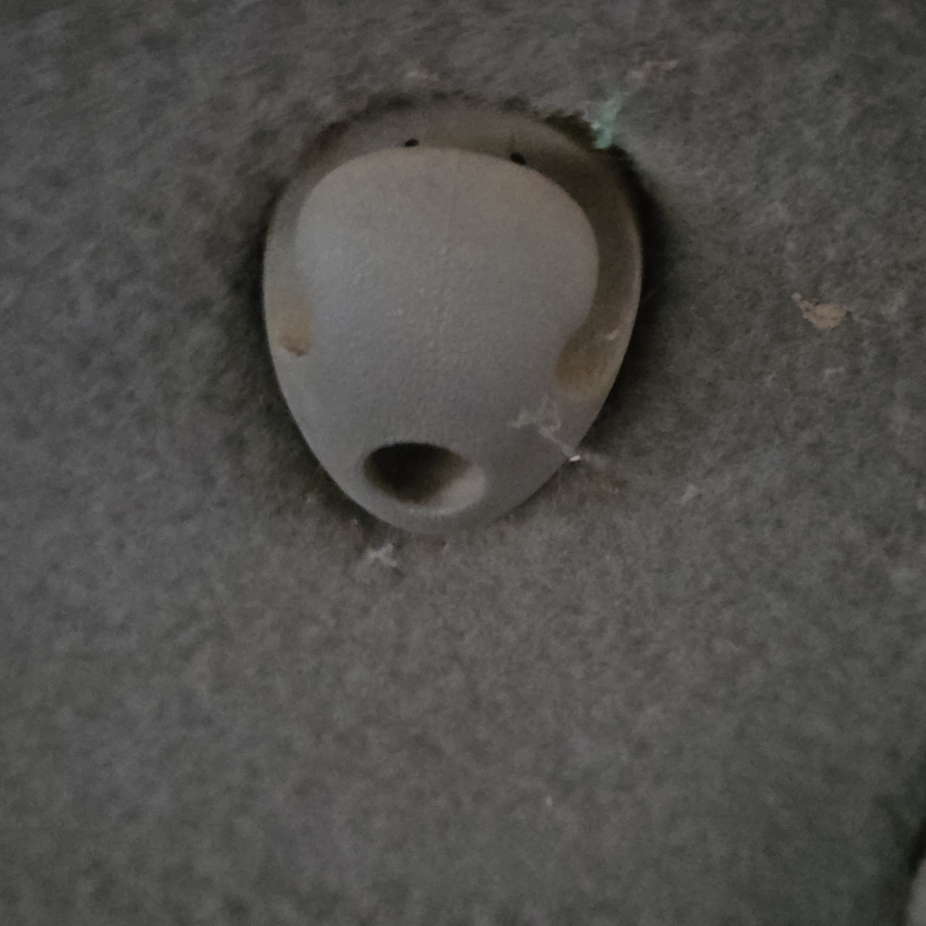 Wagon Cargo Clip